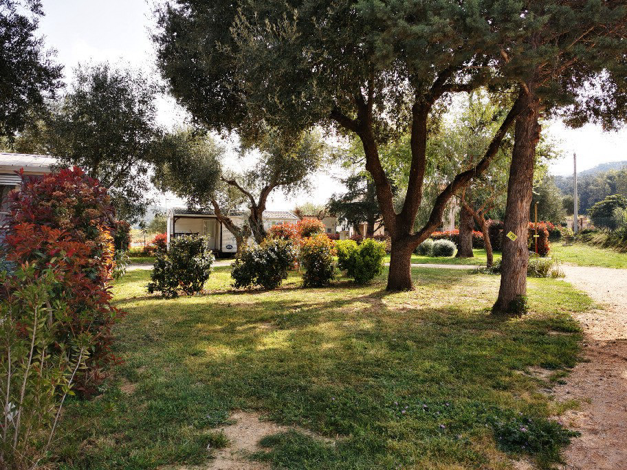 Les Oliviers Languedoc-Roussillon - Le Boulou visuel 2/2