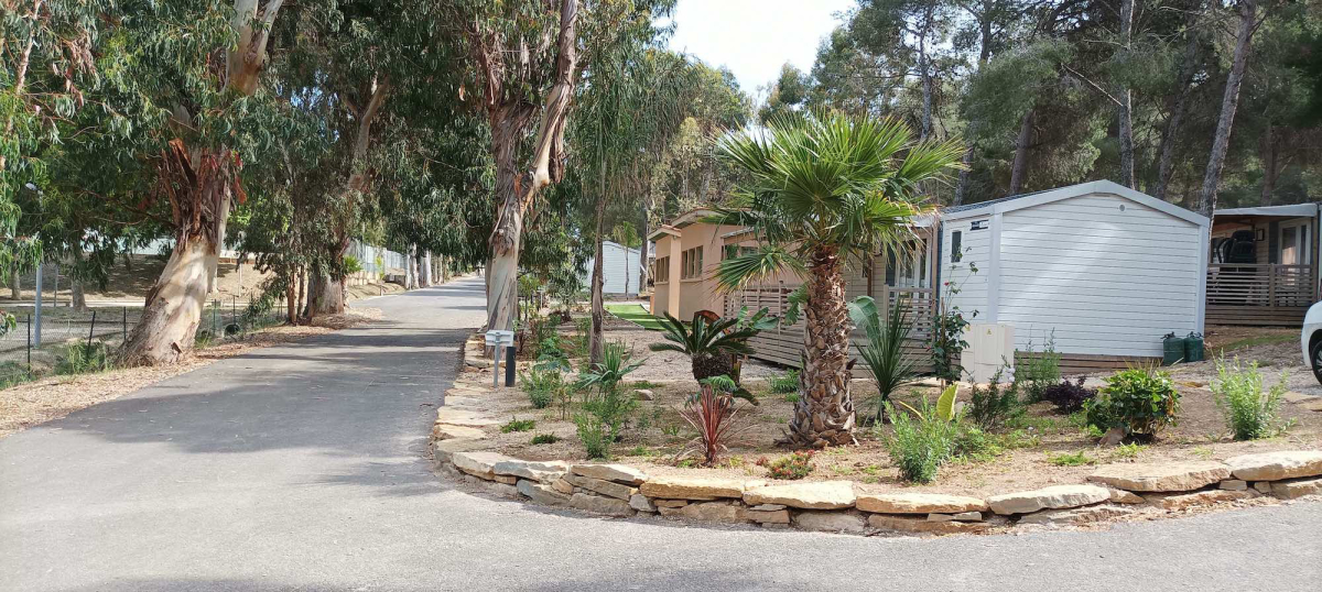 Les Oursinières Provence-Alpes-Côte d'Azur - Le Pradet visuel 4/8