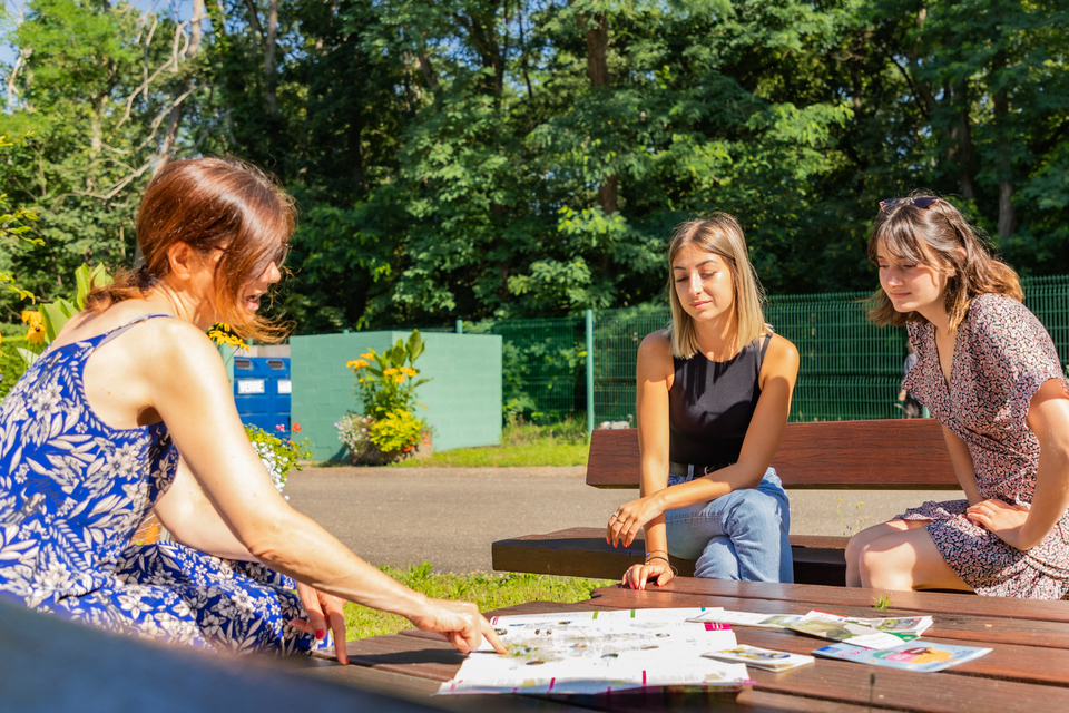 Les Pins Alsace - Haguenau visuel 3/6 Les Pins Alsace - Haguenau visuel 3/6