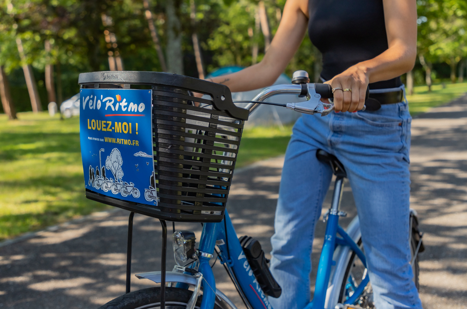 Les Pins Alsace - Haguenau visuel 6/6 Les Pins Alsace - Haguenau visuel 6/6