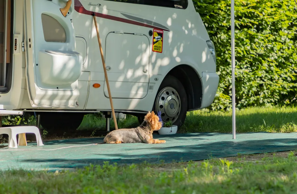 Camping Les Pins Alsace - Haguenau visuel 4/6