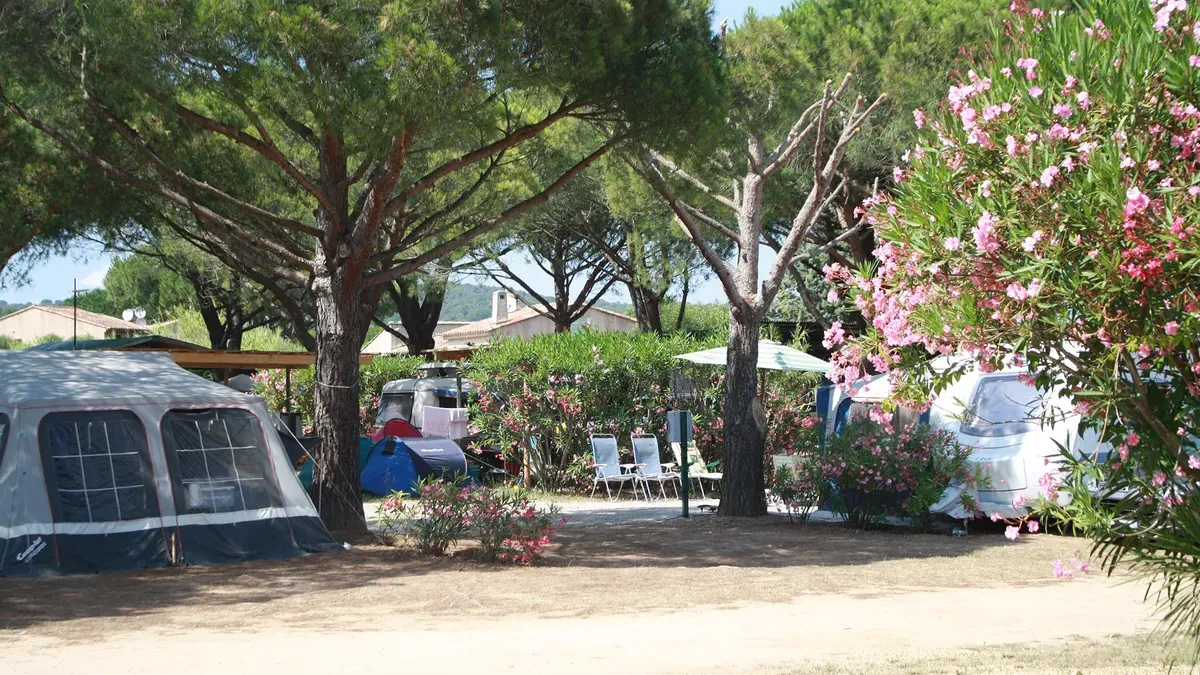 Camping Les Pins Pitchouns Provence-Alpes-Côte d'Azur - Ramatuelle visuel 2/7