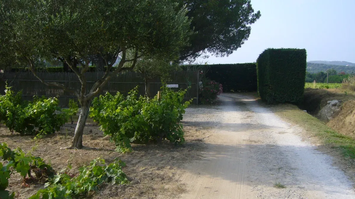 Camping Les Pins Pitchouns Provence-Alpes-Côte d'Azur - Ramatuelle visuel 3/7