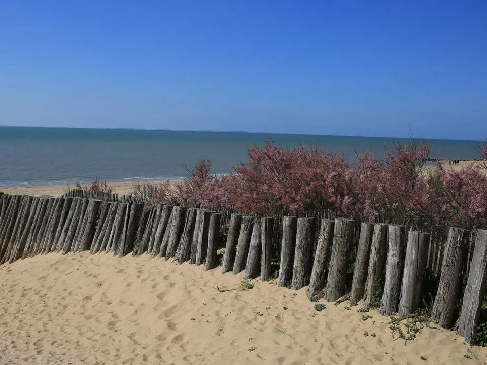 Camping Les Préveils Pays de Loire - La Tranche-sur-Mer visuel 7/7