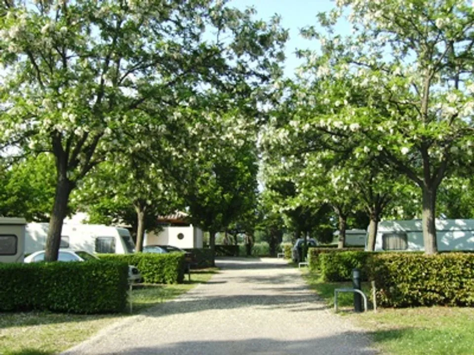 Camping Les Rives de l'Hérault Languedoc-Roussillon - Gignac visuel 6/7