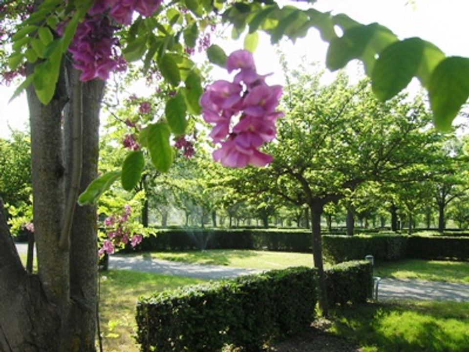 Les Rives de l'Hérault Languedoc-Roussillon - Gignac visuel 5/7 Les Rives de l'Hérault Languedoc-Roussillon - Gignac visuel 5/7
