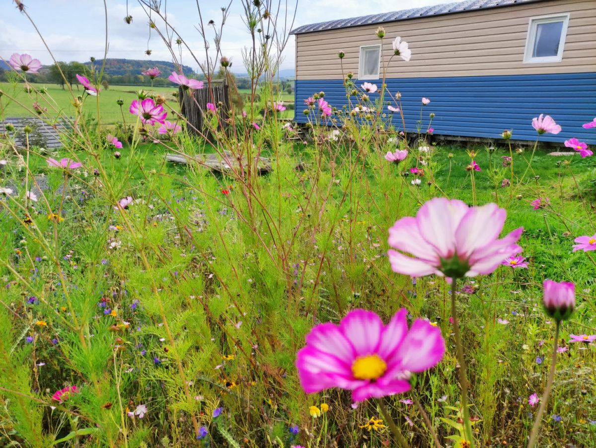 Les roulottes de Montcheneix Auvergne - Rochefort-Montagne visuel 1/2