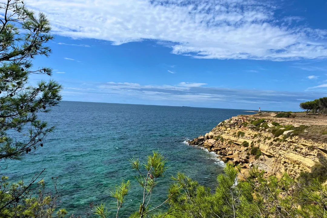 Camping Les Tamaris Provence-Alpes-Côte d'Azur - Martigues visuel 3/15