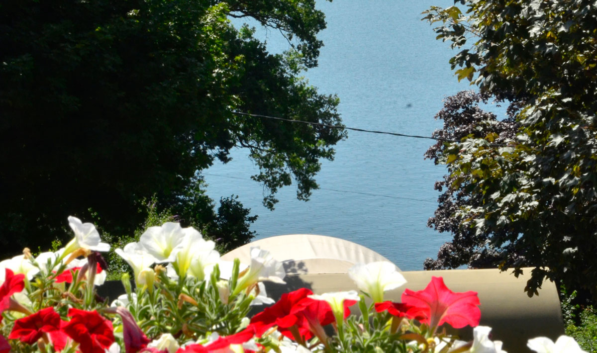 Les Terrasses du Lac Midi-Pyrénées - Pont-de-Salars visuel 5/11