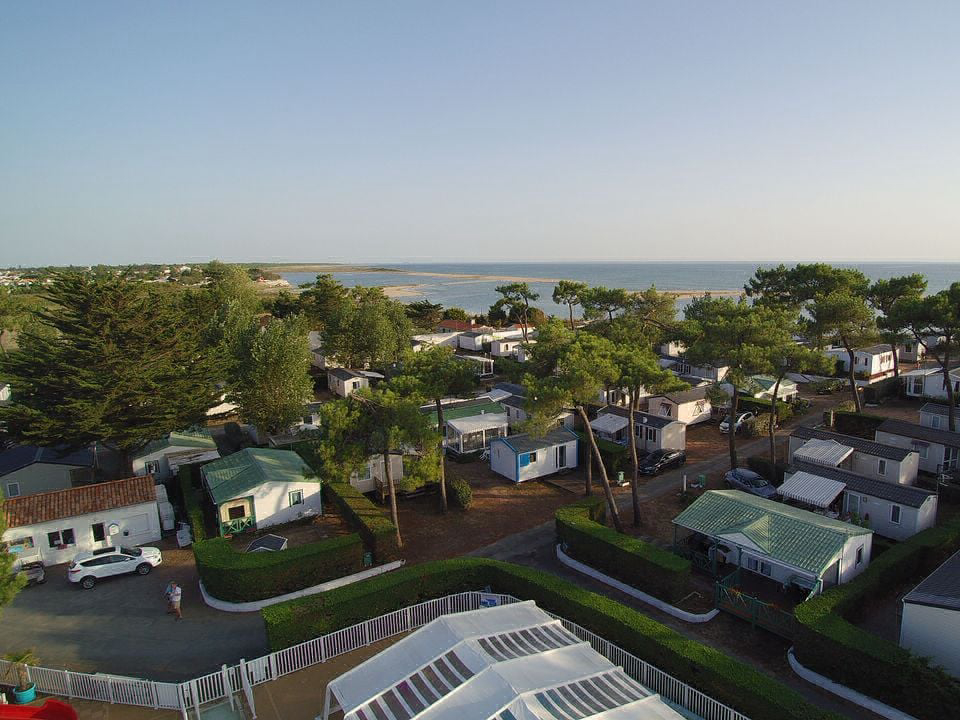 Les Violettes Pays de Loire - La Faute-sur-Mer visuel 6/12
