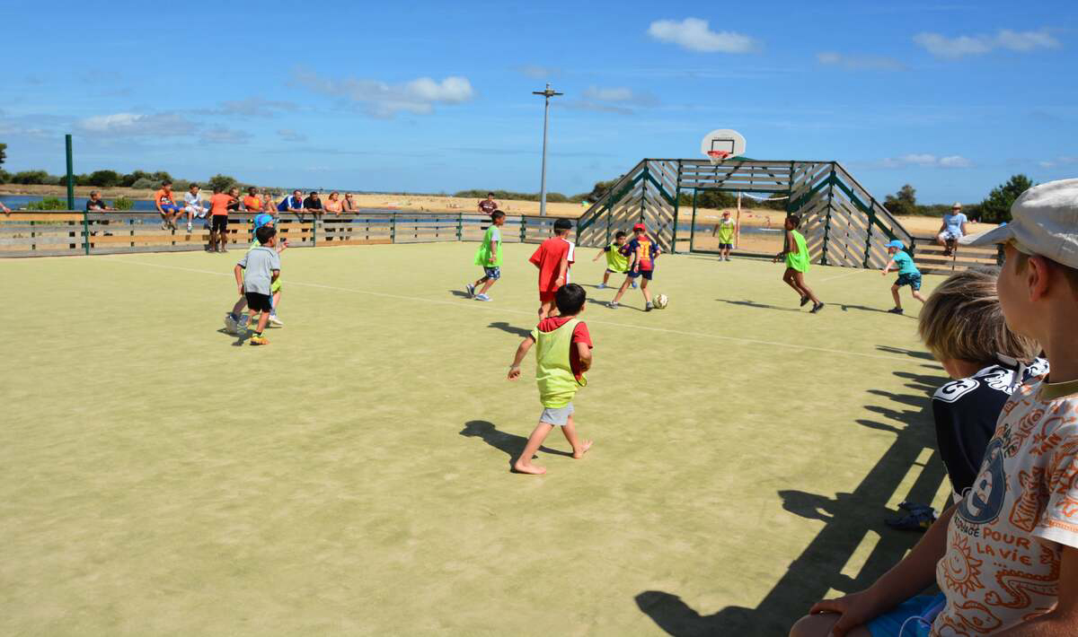 Les Viviers Aquitaine - Lège Cap Ferret visuel 12/15