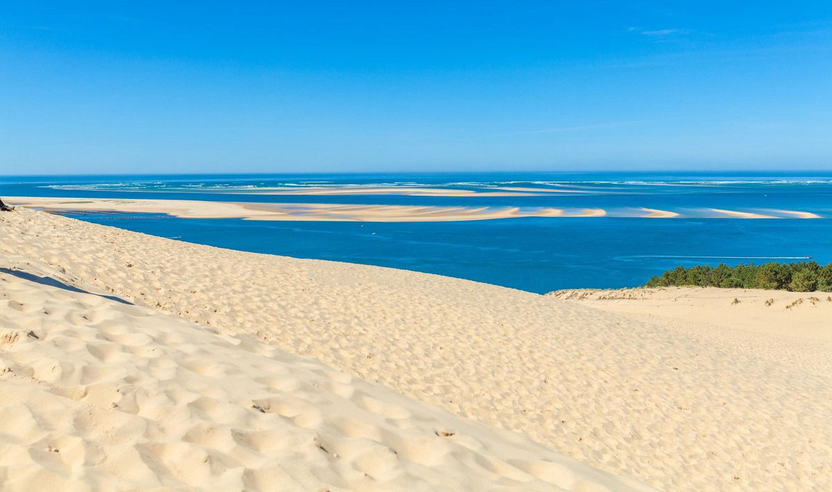 Les Viviers Aquitaine - Lège Cap Ferret visuel 6/15