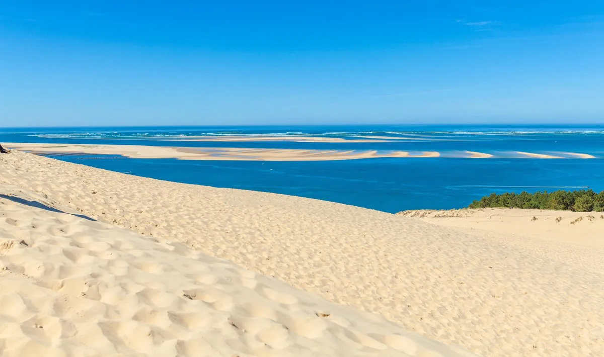 Camping Les Viviers Aquitaine - Lège Cap Ferret visuel 6/15