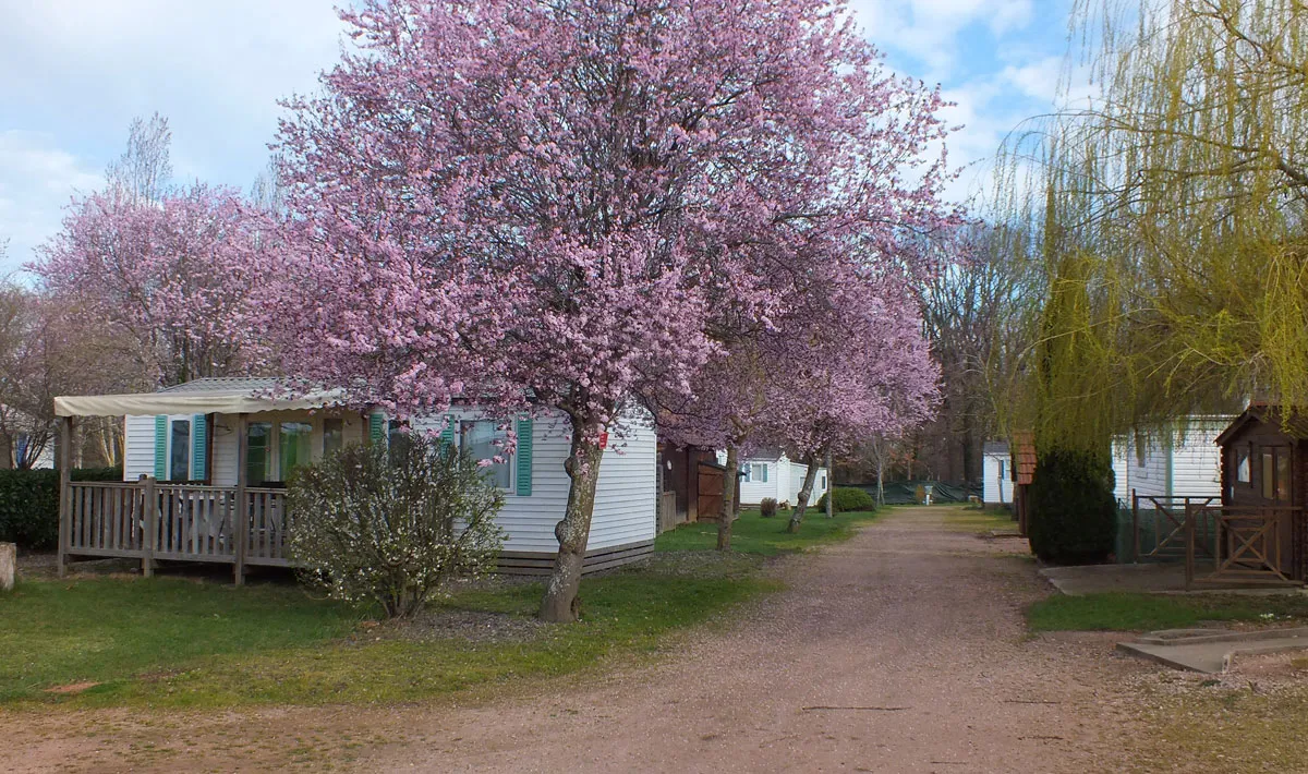 Camping Libertin La Roseraie Auvergne - Brugheas visuel 6/11