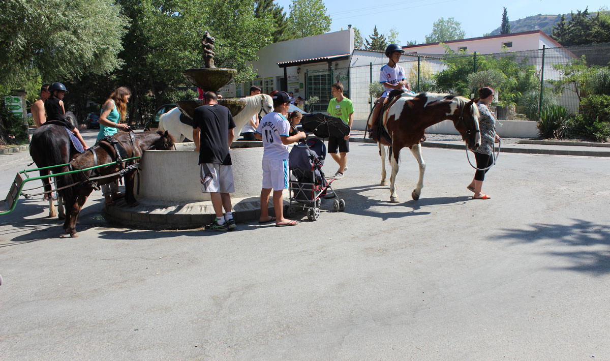 Marina Plage Provence-Alpes-Côte d'Azur - Vitrolles visuel 24/29