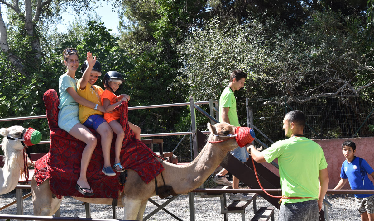 Marina Plage Provence-Alpes-Côte d'Azur - Vitrolles visuel 6/29