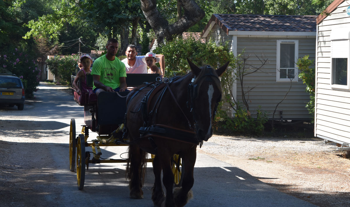 Marina Plage Provence-Alpes-Côte d'Azur - Vitrolles visuel 10/29