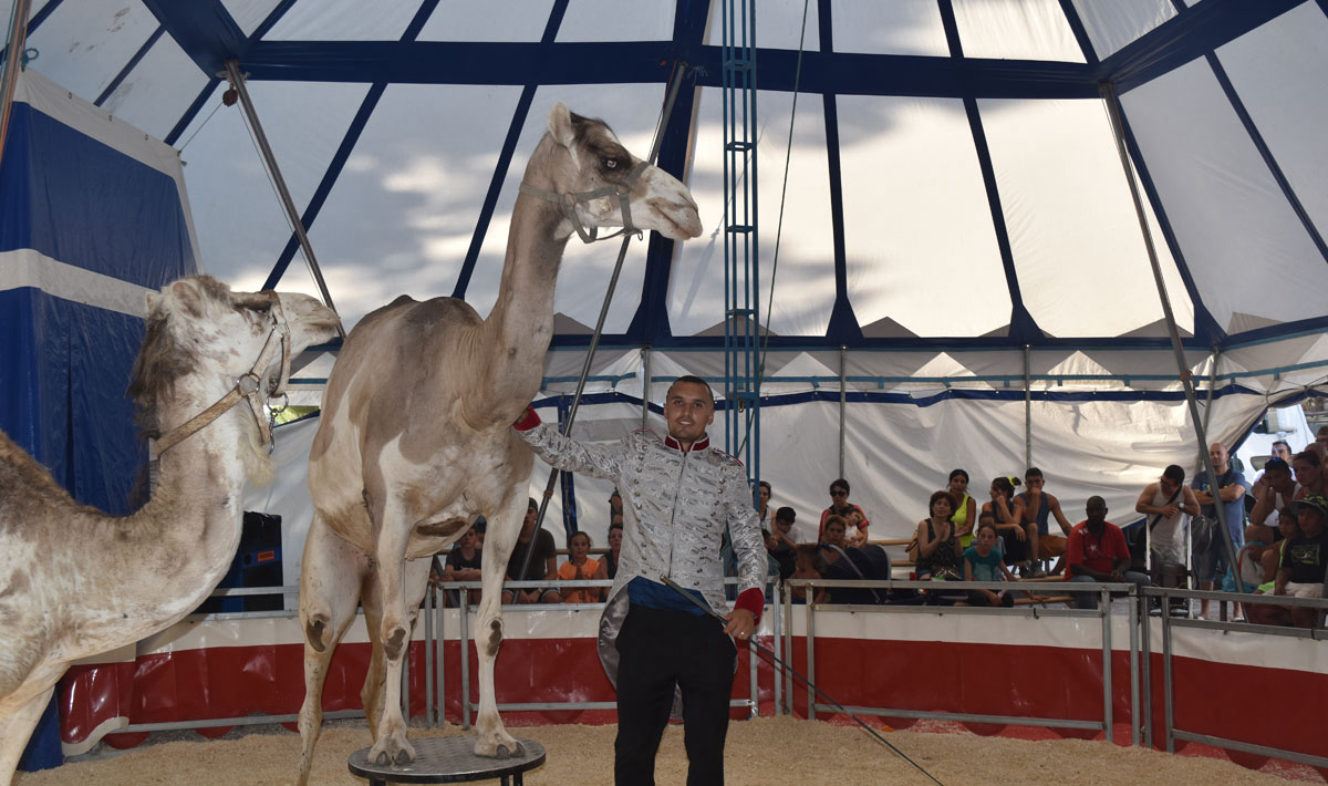 Marina Plage Provence-Alpes-Côte d'Azur - Vitrolles visuel 12/29