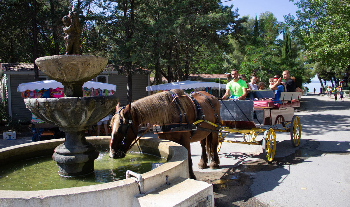 Marina Plage Provence-Alpes-Côte d'Azur - Vitrolles visuel 23/29
