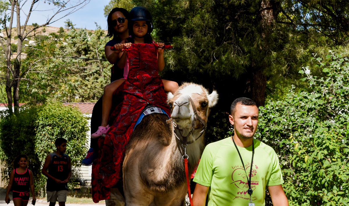 Marina Plage Provence-Alpes-Côte d'Azur - Vitrolles visuel 29/29