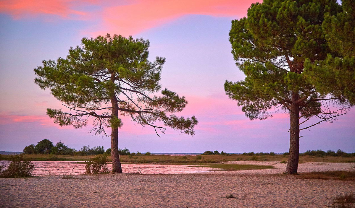 Mayotte Vacances Aquitaine - Biscarrosse visuel 32/39