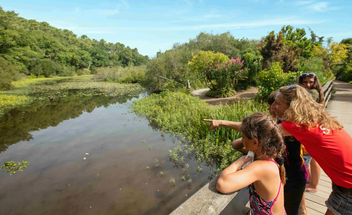 Camping Mimizan Lac Aquitaine - Mimizan visuel 5/10