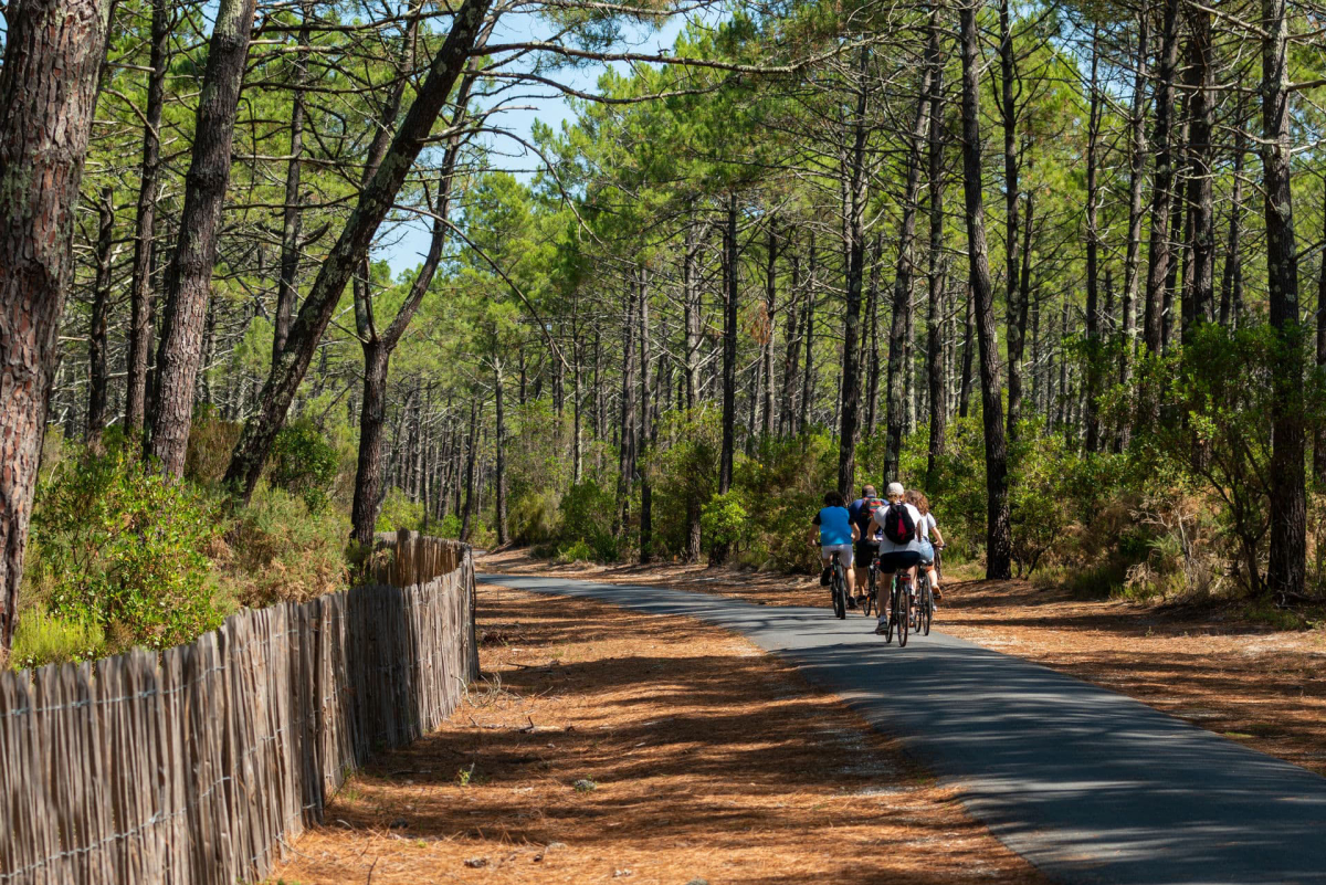 Camping MS Le Pyla 4* Aquitaine - Pyla sur Mer visuel 15/20