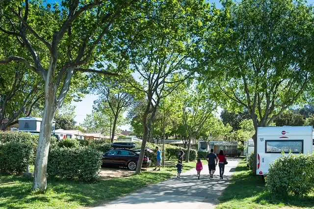 Camping Parc Mogador Provence-Alpes-Côte d'Azur - Sanary-sur-Mer visuel 19/27