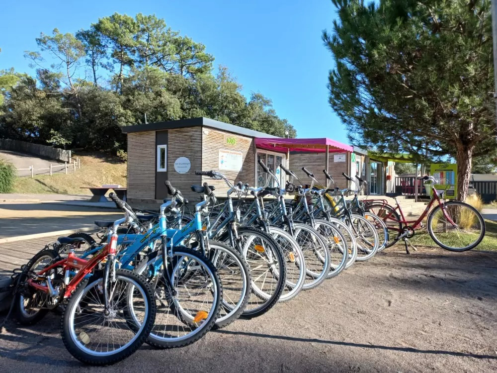 Parfums d'été Paesi della Loira - Jard-sur-Mer visuel 13/13