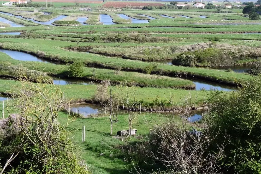 Camping Parfums d'été Pays de Loire - Jard-sur-Mer visuel 8/13