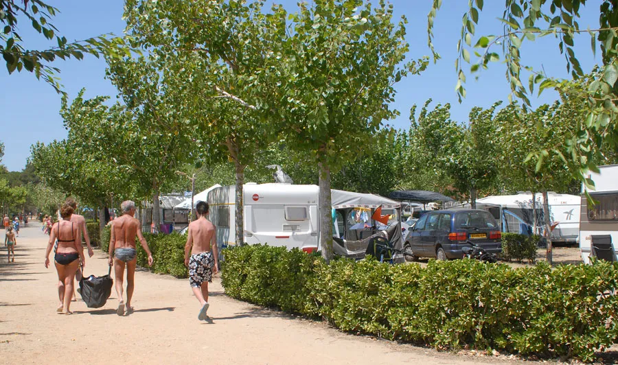 Camping Playa Brava Costa Brava - Pals visuel 5/24