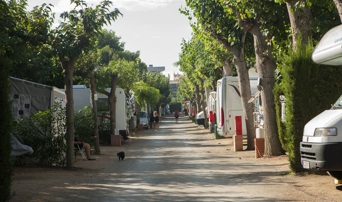 Camping Platja Cambrils Costa Dorada - Cambrils visuel 25/43