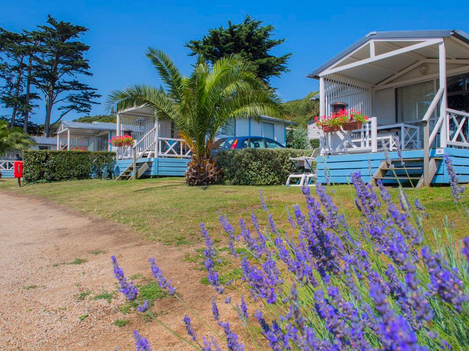 Port l'Epine Bretagne - Trélévern visuel 4/7