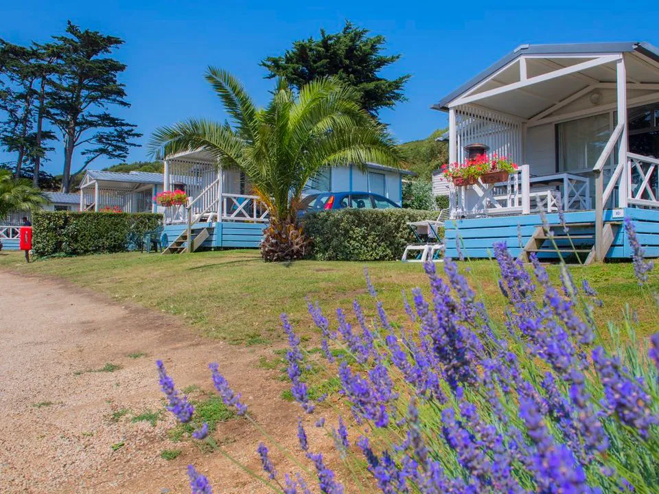 Camping Port l'Epine Bretagne - Trélévern visuel 4/7