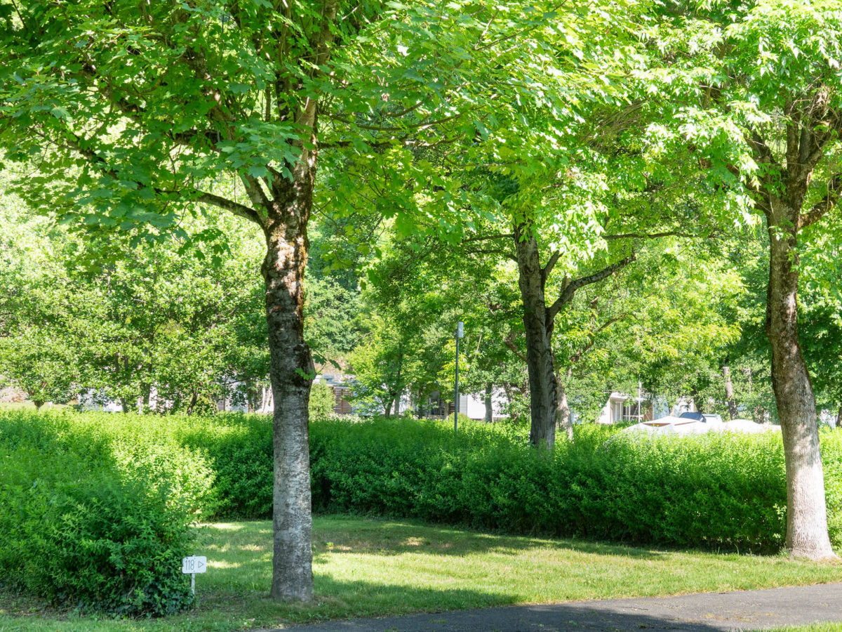 Pradelongue Midi-Pyrénées - Moustajon visuel 12/24