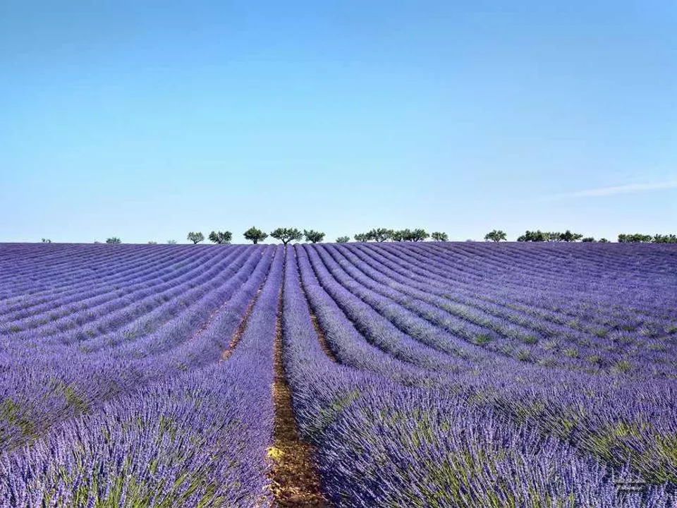 Camping Provence Vallée Provence-Alpes-Côte d'Azur - Manosque visuel 9/15