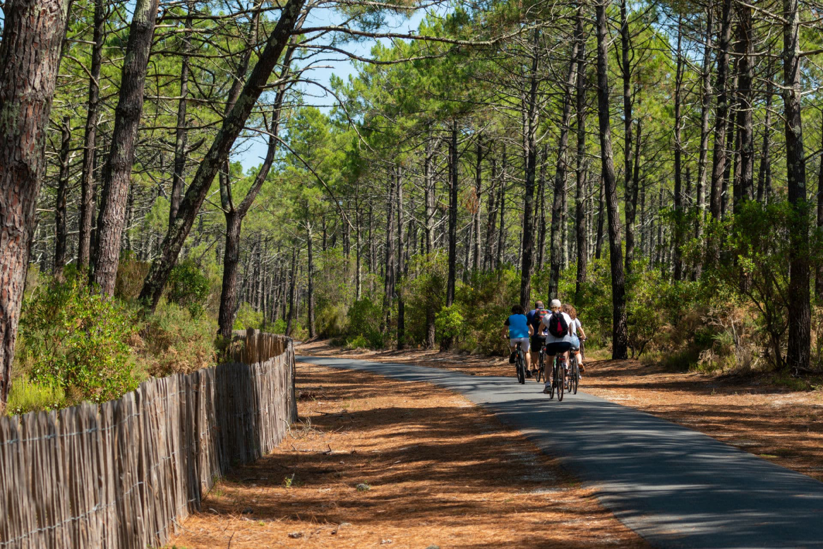 Camping MS Le Pyla 4* Aquitania - Pyla sur Mer visuel 12/20