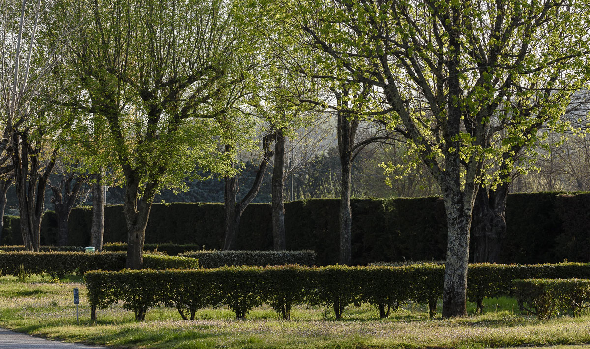 Rives d'Arc Rhône-Alpes - Vallon-Pont-d'Arc visuel 17/19