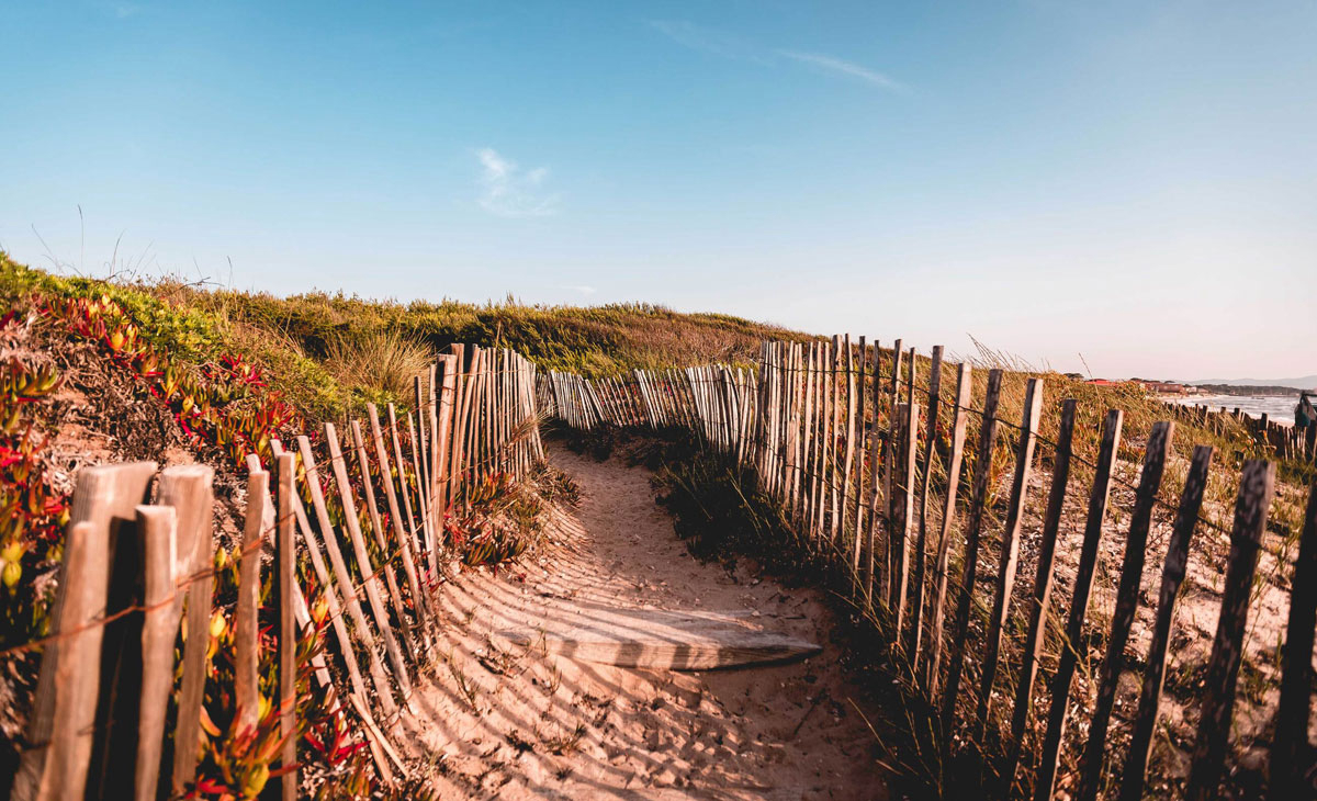 Salines Provence-Alpes-Côte d'Azur - Giens visuel 11/16