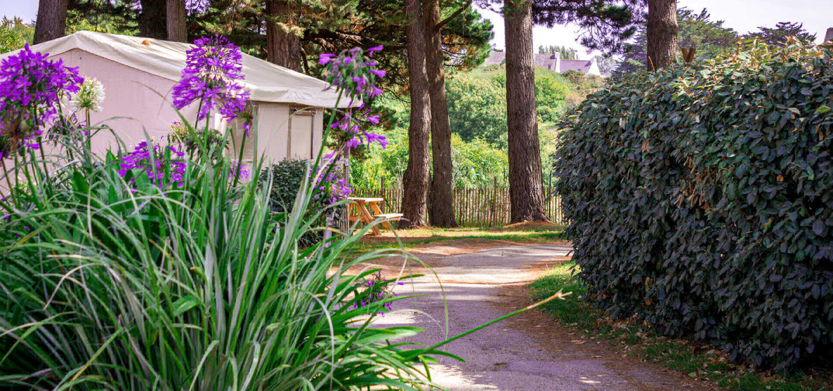 Camping de l'Océan Bretagne - Le Palais visuel 7/19
