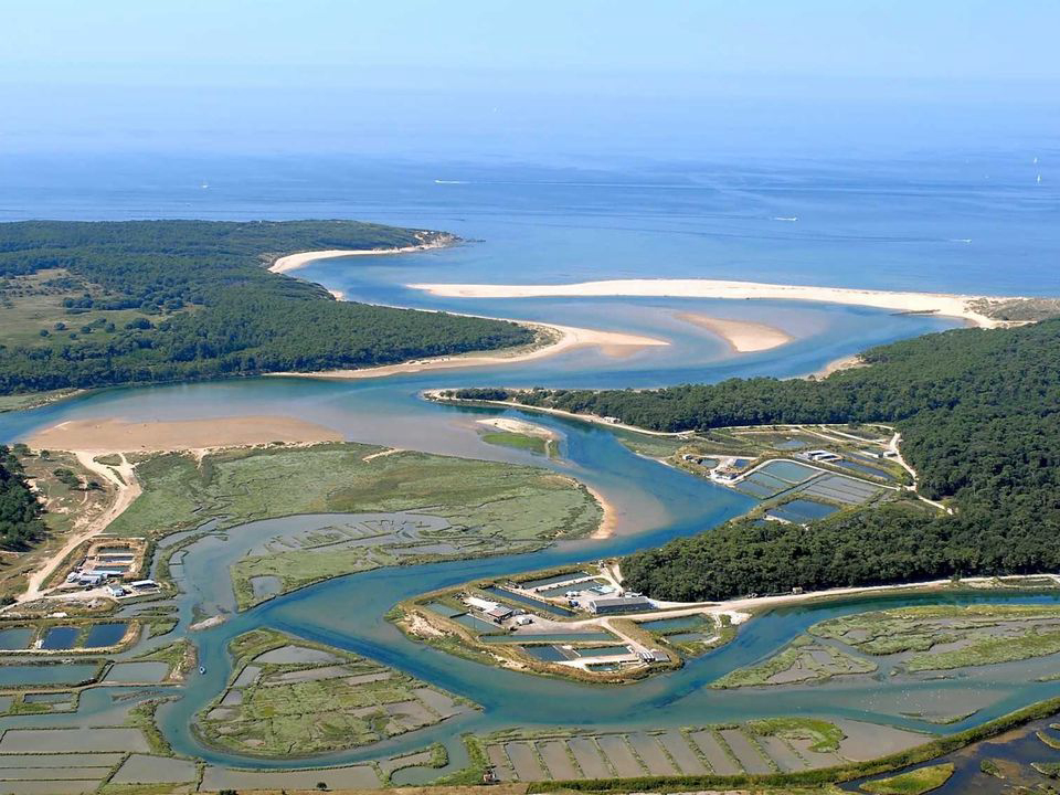 Sun Océan Pays de Loire - Talmont-Saint-Hilaire visuel 11/11