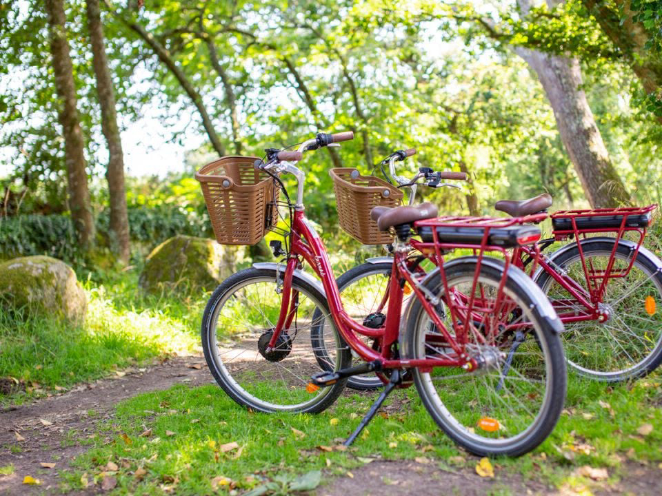 Sun Océan Pays de Loire - Talmont-Saint-Hilaire visuel 7/11