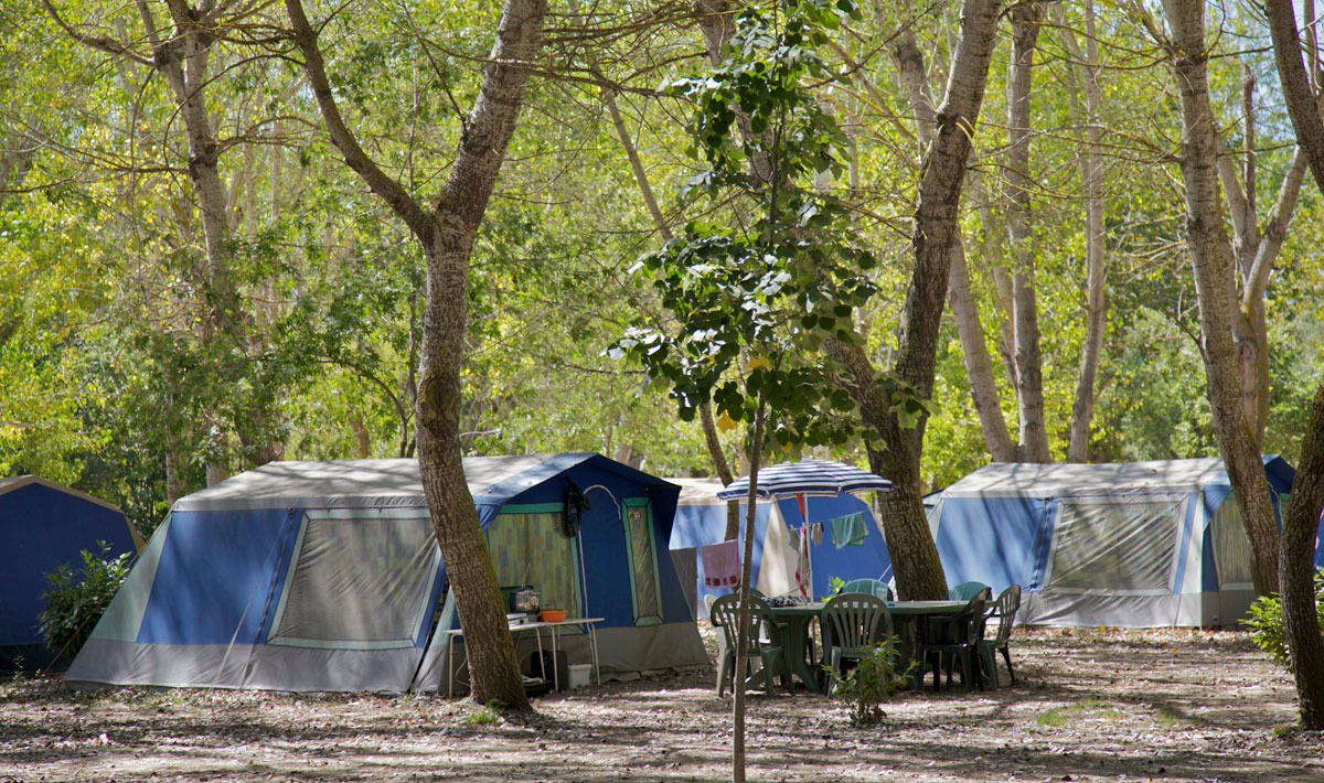 U Casone Corse - Ghisonaccia visuel 6/11