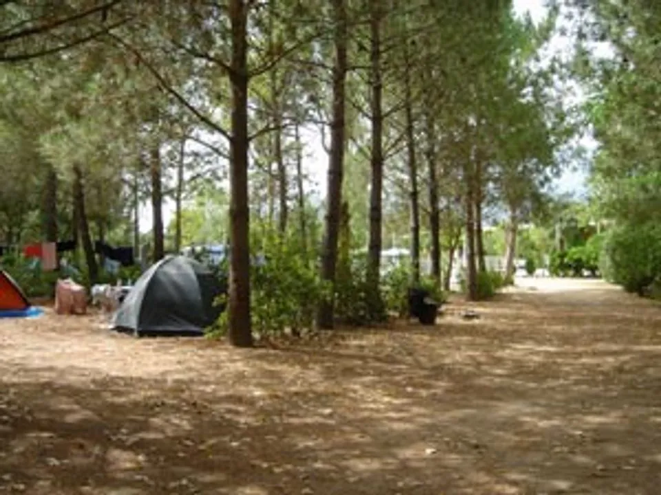 Camping U Moru Corse - Figari visuel 4/4