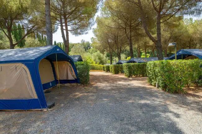 Camping Valle Gaia Toscane - Casale Marittimo visuel 6/6