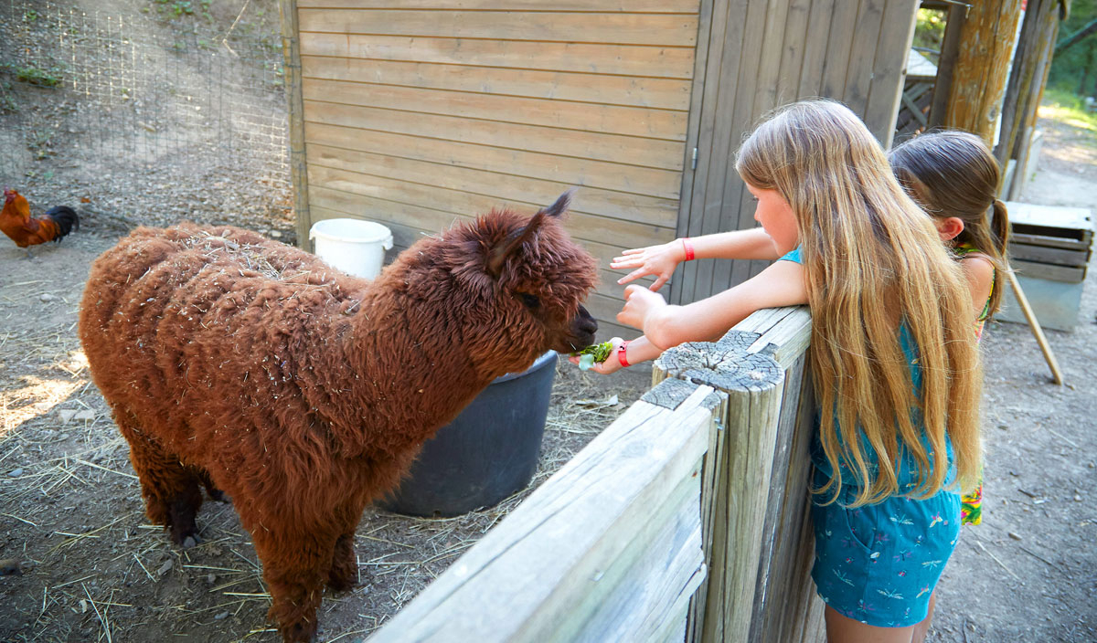 Verdon Parc Provence-Alpes-Côte d'Azur - Gréoux-les-Bains visuel 14/31