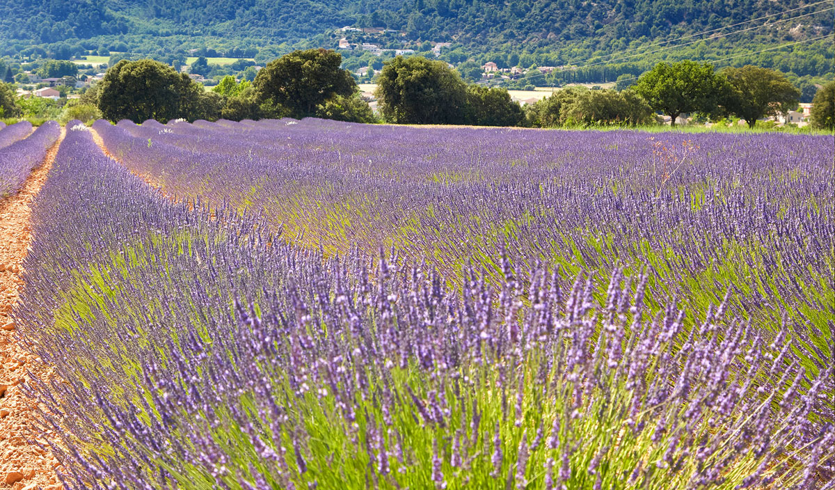 Verdon Parc Provence-Alpes-Côte d'Azur - Gréoux-les-Bains visuel 28/31