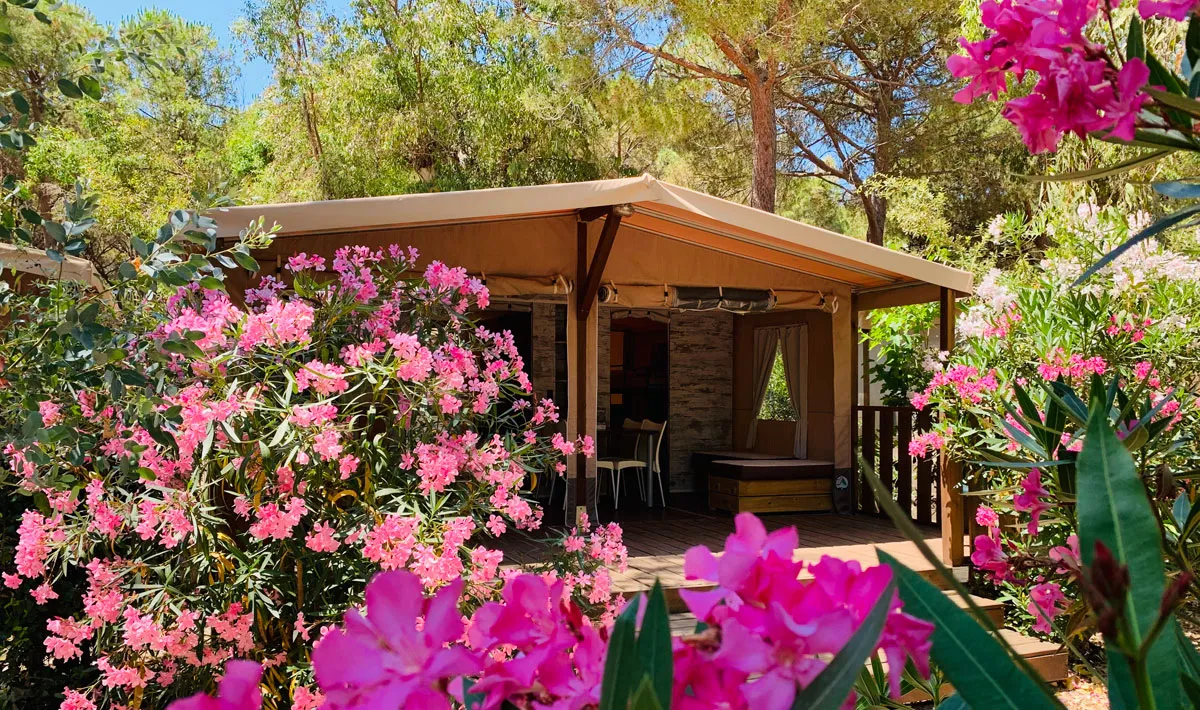Camping Village Rocchette Toscane - Castiglione della Pescaia visuel 26/53