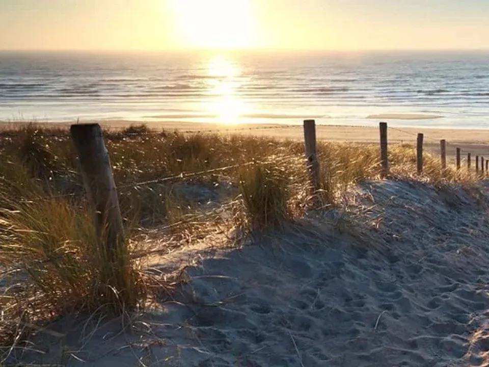 Camping Le Fou du Roi Languedoc-Roussillon - Lansargues visuel 6/8