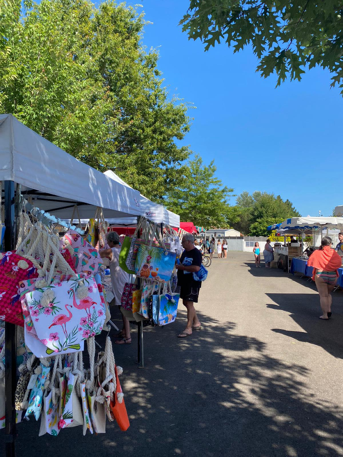 Le Pipiou Aquitaine - Parentis-en-Born visuel 3/11